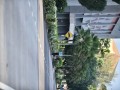 Tn dsc 5935